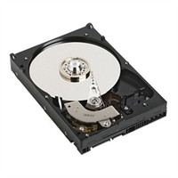 177248__91481.1696261770.jpg 341-8911 | DELL | 1Tb 7200Rpm Sataii 3.5Inch Low Profile(1.0Inch) Hard Disk Drive With Tray For Poweredge And Powervault Server - Image 1