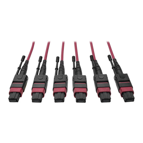 kkwMP34UgE-nJogK8bdY-w.c-r__52688.1708129139.jpg N858-61M-3X8-MG | Tripp Lite | fiber optic cable 2401.6" (61 m) MTP OM4 Black, Magenta - Image 1