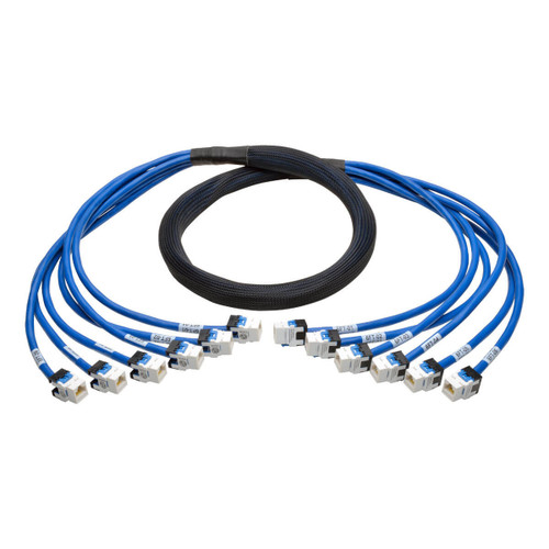 pBYWYV9w7UWFYp87AyHVqg.c-r__13409.1708128491.jpg N261-006-6FF-BL | Tripp Lite | networking cable Blue 70.9" (1.8 m) Cat6 - Image 1