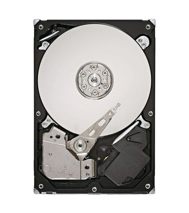 stm31000340as-stm31000340as_w42luisrcknal2e5__86664.1696346381.jpg 42C0497 | IBM | 1TB 7200RPM HOT SWAPABLE SATA 3.5-INCH LFF HARD DRIVE WITH TRAY - Image 1