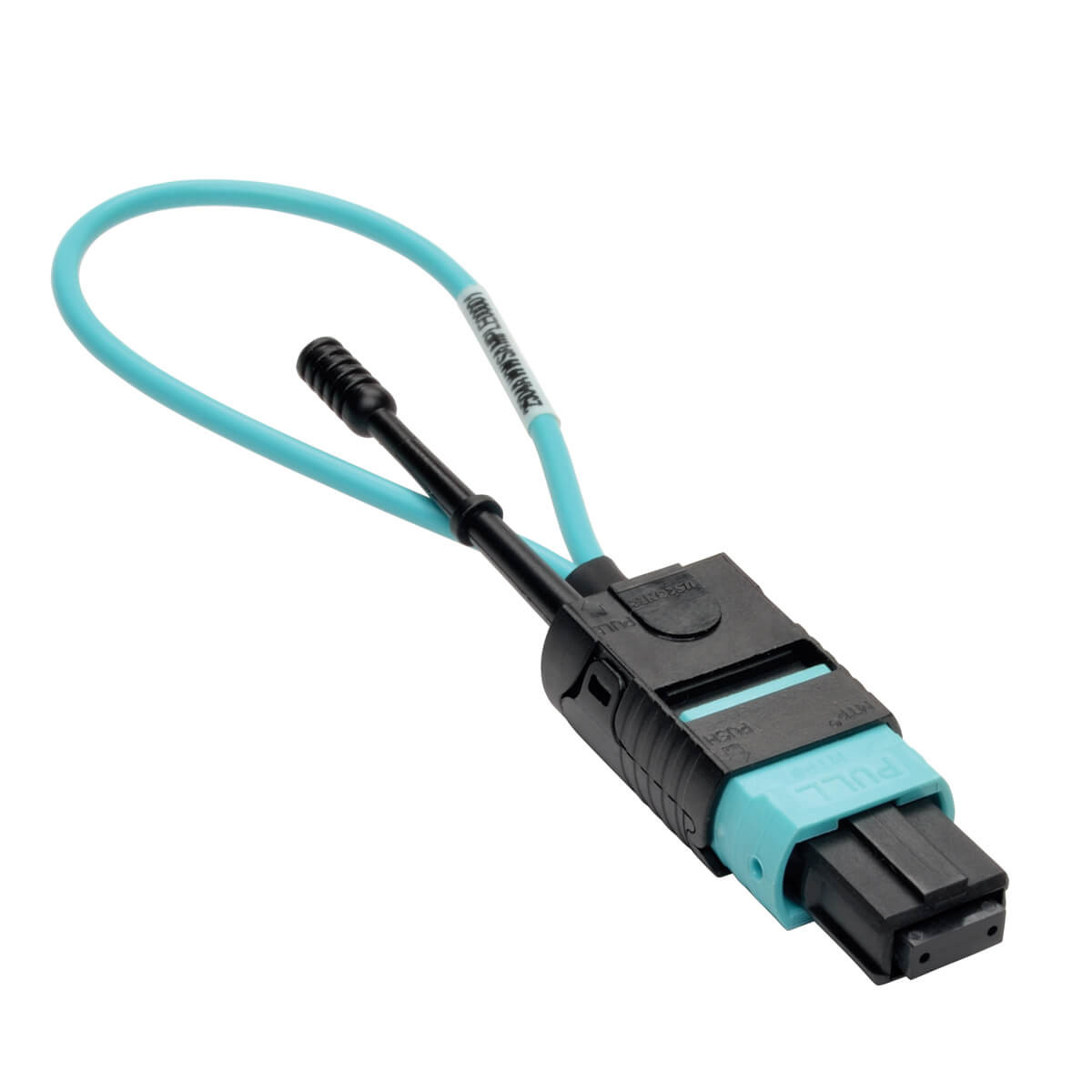 vcuvrbN8fk6479zhnTrDng.c-r__96138.1708129070-1.jpg N844-LOOP-12F | Tripp Lite | network cable tester Black, Blue - Image 1
